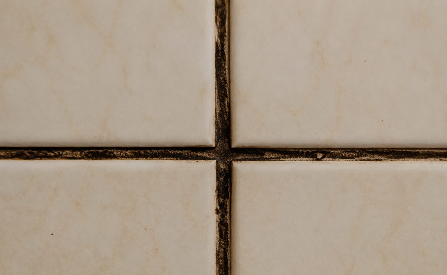 Dark stained grout lines running through otherwise sound bathroom tile
